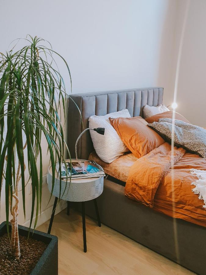 קושיצה Priestranny Apartman V Centre מראה חיצוני תמונה